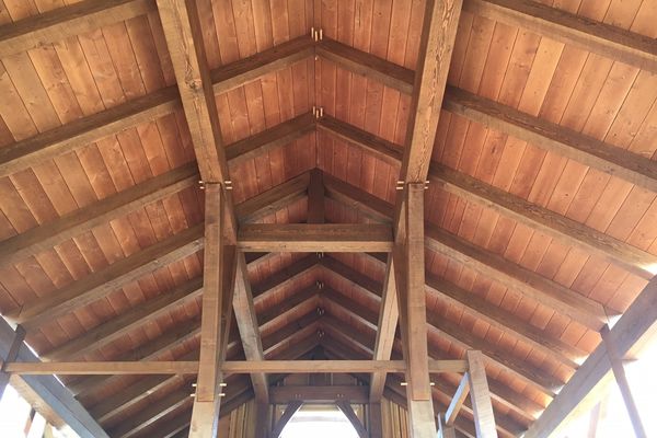 Montrose-Ranch-Colorado-Canadian-Timberframes-Construction-Rafters